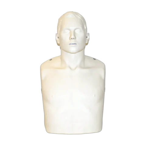 Maniquí RCP Brinde IM 13